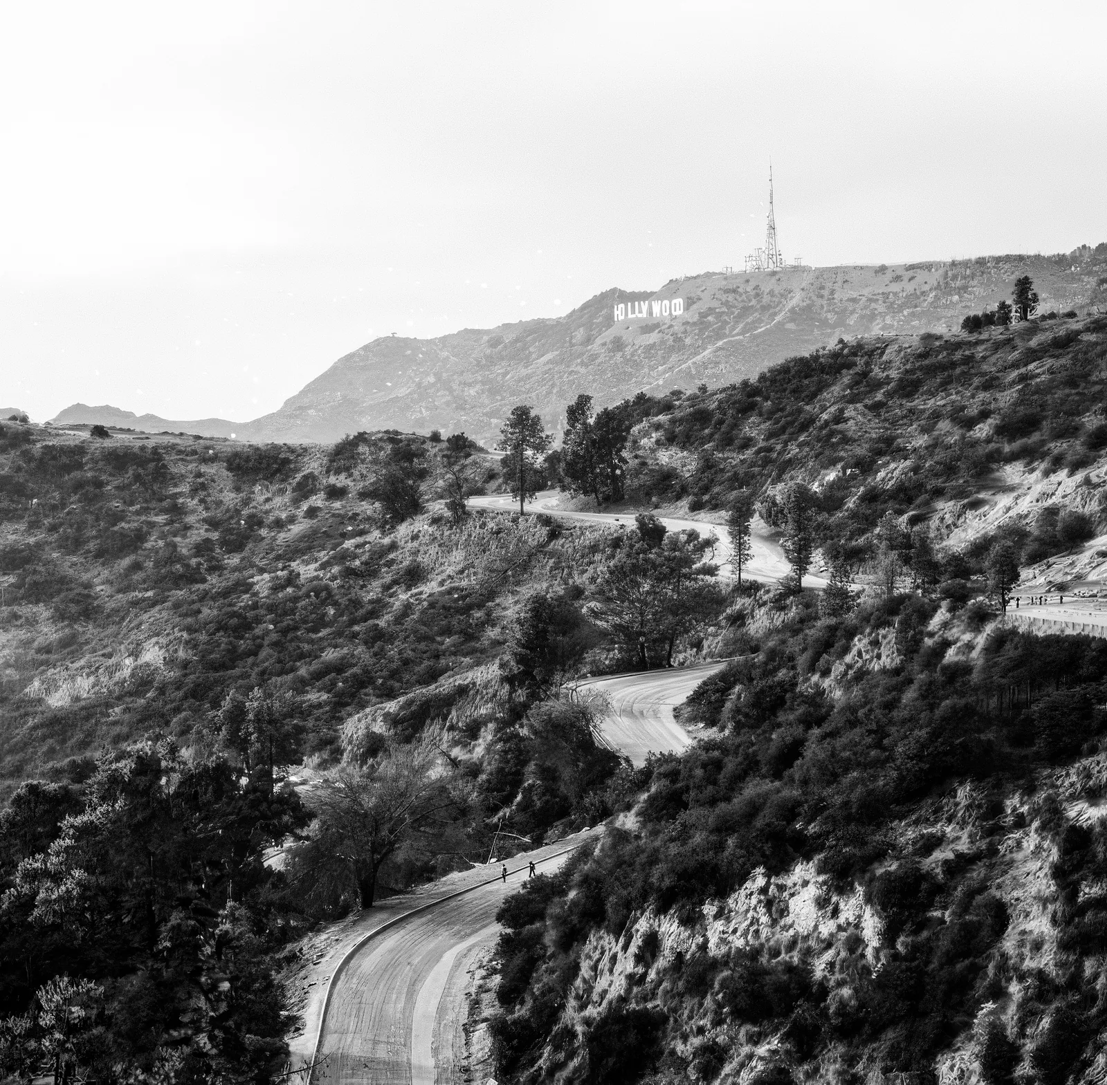The Hollywood sign on the hills above Los Angeles
